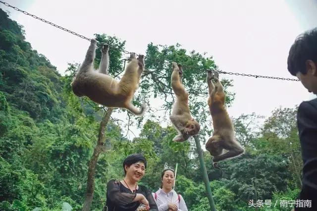 龙虎山最近发生了什么事件,广西南宁龙虎山事件真相视频