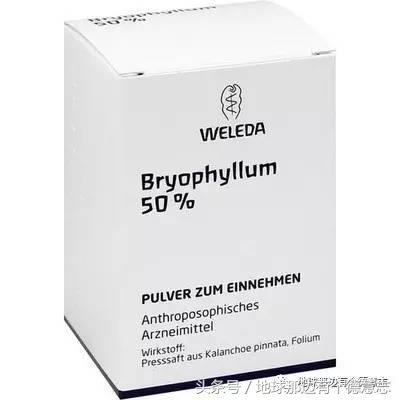 咪私料｜我的德国育儿日记：德国孕妇用什么保健品和药品？