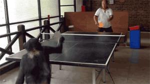 当武士刀遇到剑，一刀砍下去见真知，武士刀：就是让你想不到