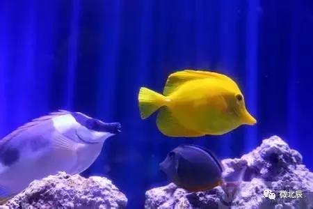 五一活动游玩,天天活动丰富多彩