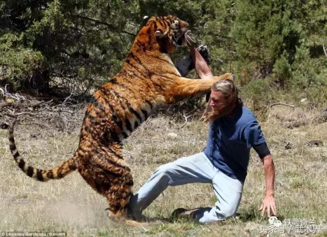 太极拳和心意把拳哪个更厉害,八卦掌比太极拳厉害