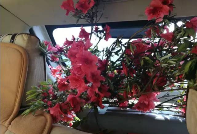 昆明踏青烧烤最佳攻略,昆明可以户外烧烤地方推荐