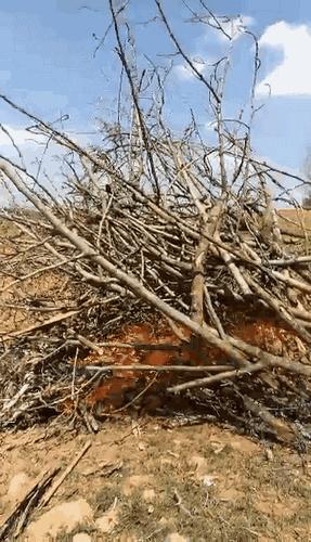 昆明踏青烧烤最佳攻略,昆明可以户外烧烤地方推荐