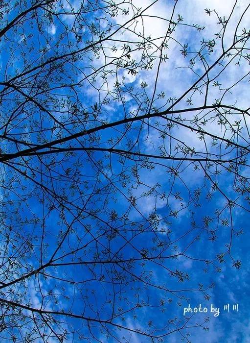 世界上最大的坑是什么,世界上最深的坑是什么坑