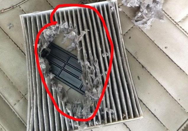 发动机舱进老鼠有什么风险,如何避免发动机舱进老鼠