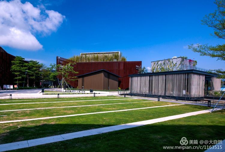 最美深圳城市全景,最美深圳打卡地文旅点