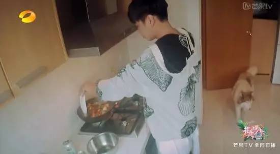 张若昀井柏然四合院,井柏然大江大河