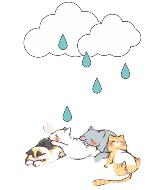 天气热宠物怎么样养好,天气热了宠物应该关注什么