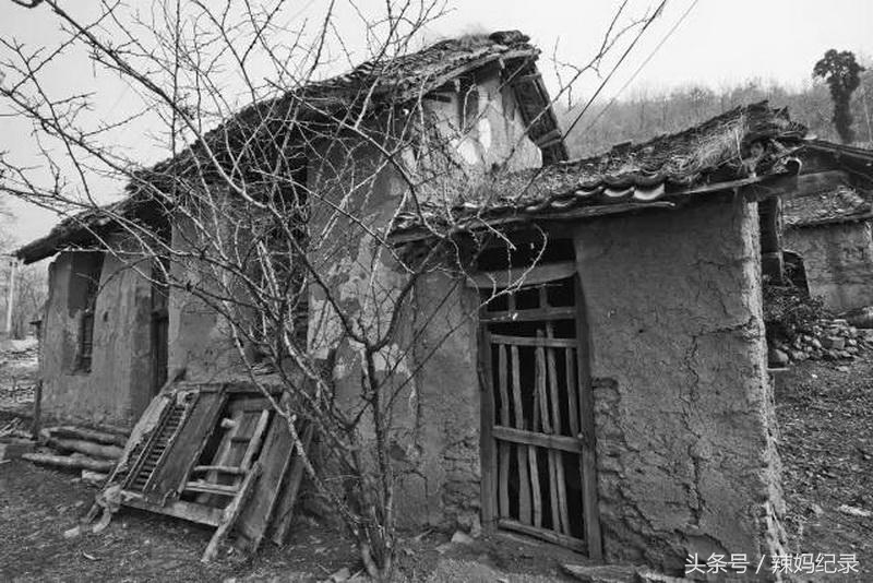 想起父母不容易的时候,想起爹妈不容易感恩父母