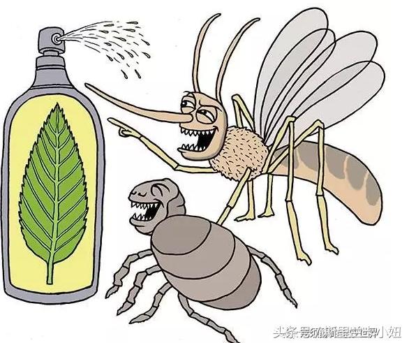 给宝宝驱蚊用什么安全又有效,如何给宝宝选择驱蚊产品