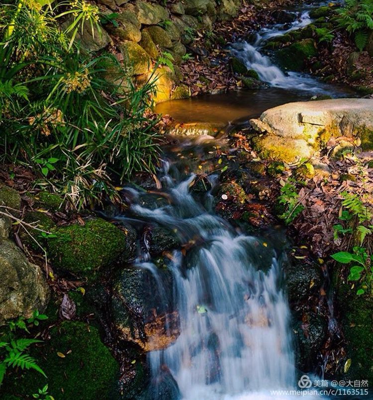 最美深圳城市全景,最美深圳打卡地文旅点