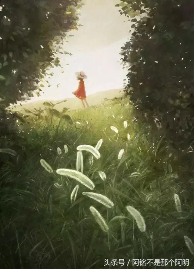 日课必修,日课怎么规划