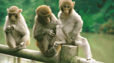 龙虎山最近发生了什么事件,广西南宁龙虎山事件真相视频