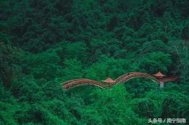 龙虎山最近发生了什么事件,广西南宁龙虎山事件真相视频