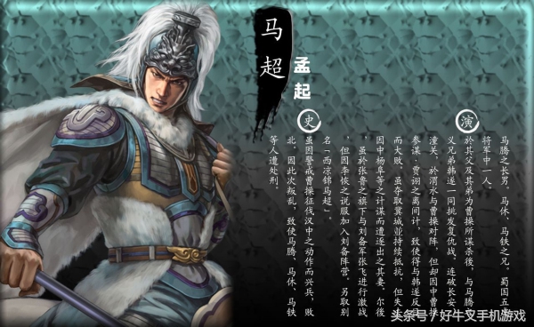 三国志12是单机版的吗,三国志12最有可玩性