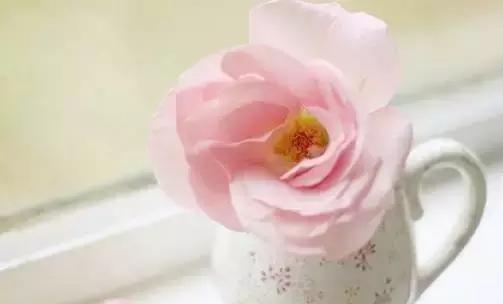 因病去世随笔,生病离世的随笔