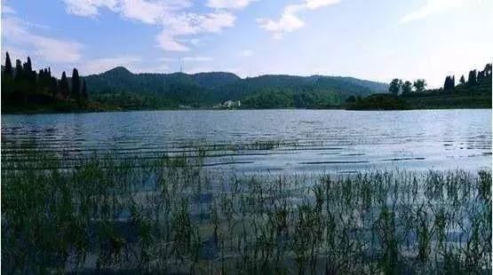 昆明踏青烧烤最佳攻略,昆明可以户外烧烤地方推荐