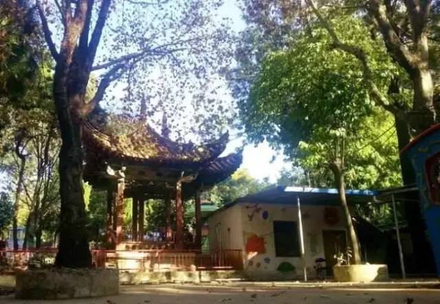 昆明踏青烧烤最佳攻略,昆明可以户外烧烤地方推荐