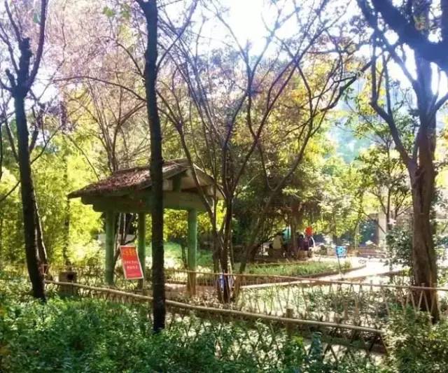 昆明踏青烧烤最佳攻略,昆明可以户外烧烤地方推荐