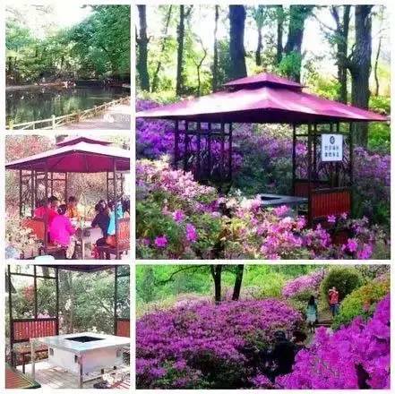 昆明踏青烧烤最佳攻略,昆明可以户外烧烤地方推荐