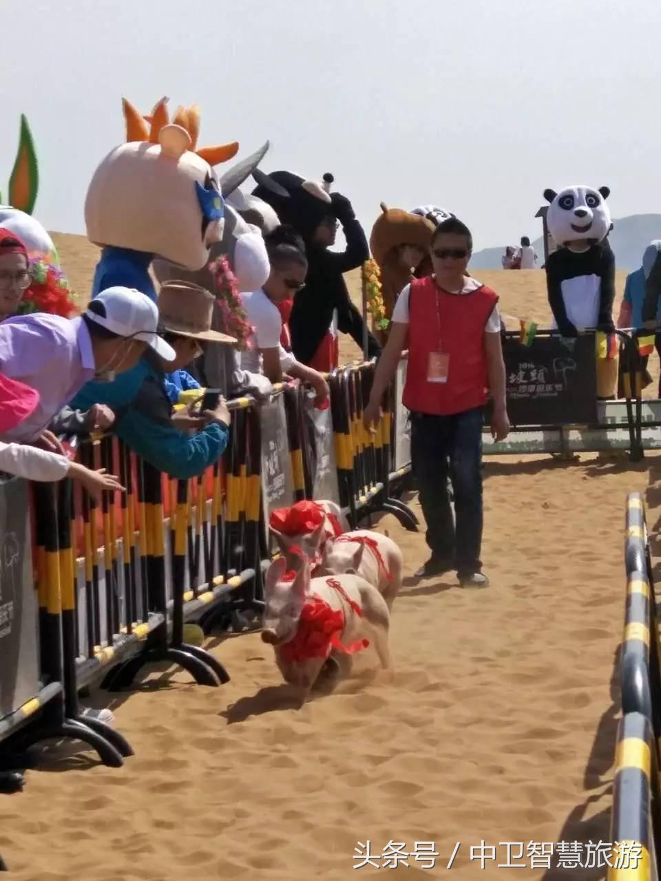 五一中卫旅游免费,中卫五一活动