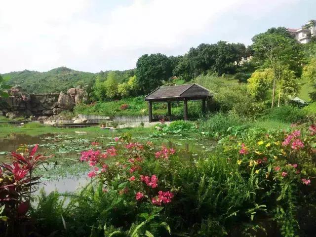 核心价值观57期,核心价值观之爱国敬业诚信友善