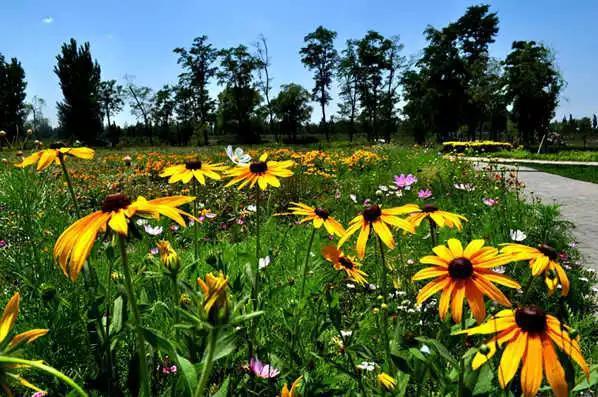 浙江五一旅游攻略亲子游,五一山东小众旅游亲子游