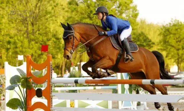 北京冠军杯马术巡回赛,2021鸟巢之路马术比赛