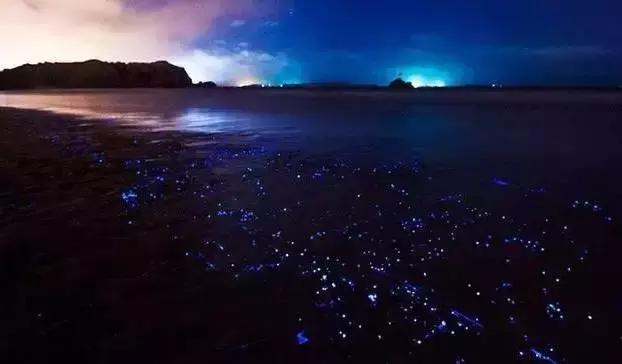 五一福州周边一日游,五一福州周边不拥堵的游玩好去处