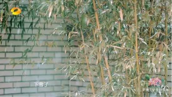 张若昀井柏然四合院,井柏然大江大河