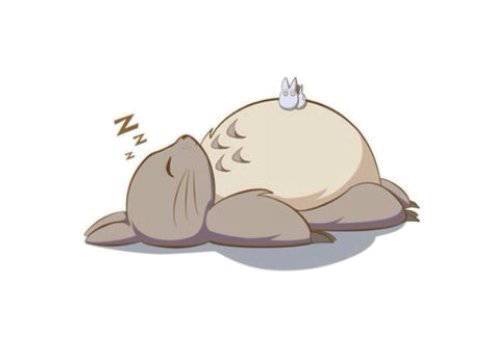 天气热宠物怎么样养好,天气热了宠物应该关注什么