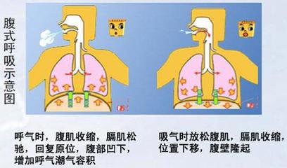 老祖宗养生十二式,养生四宝锻炼方法
