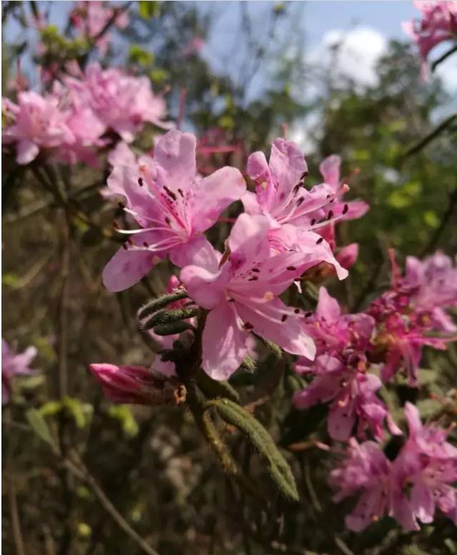 昆明踏青烧烤最佳攻略,昆明可以户外烧烤地方推荐