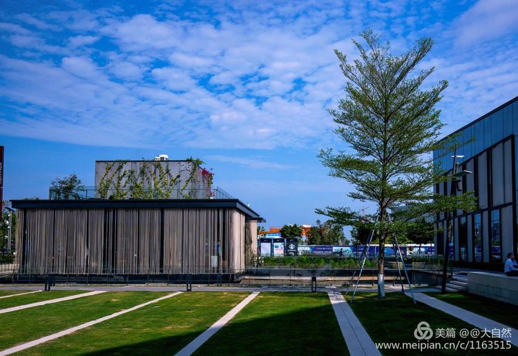 最美深圳城市全景,最美深圳打卡地文旅点