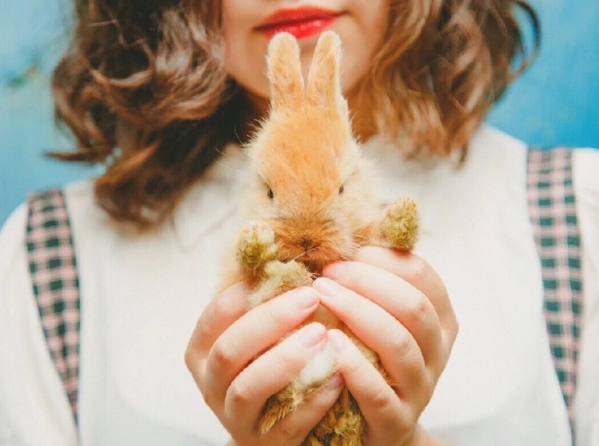 头像合集｜你说你要和我共白头，我染完你又说我非主流