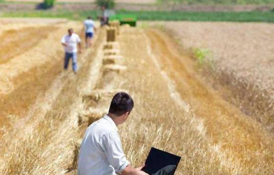 创业的最佳时机,农村创业的十大机会