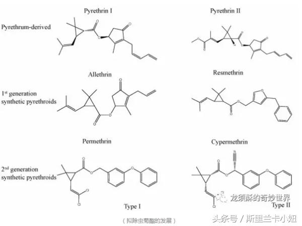 给宝宝驱蚊用什么安全又有效,如何给宝宝选择驱蚊产品