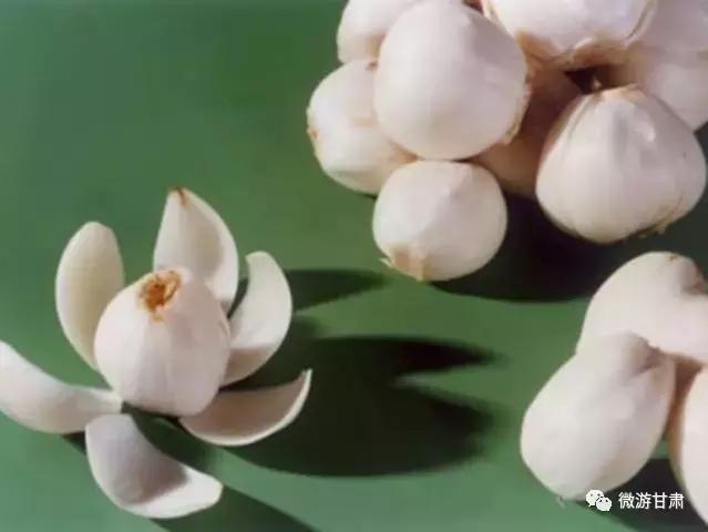 黄河三峡旅游攻略跟团,黄河三峡的攻略