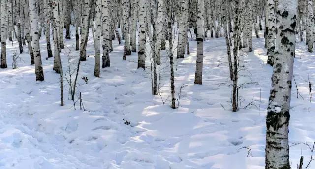 2017年呼伦贝尔旅游节庆活动大全，收好速转！