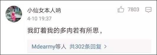 逆天了中国吃货！多肉植物炒肉吃！