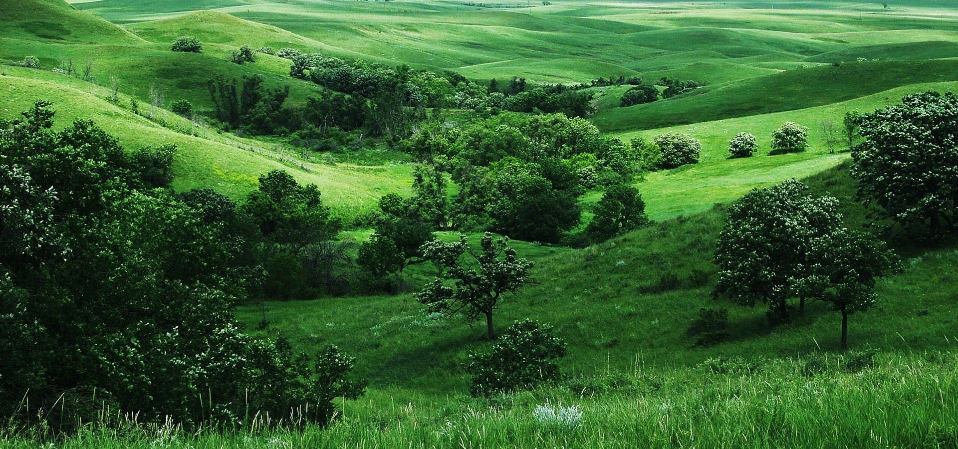 一站式掌握英语过去进行时的用法,一站式英语怎么说