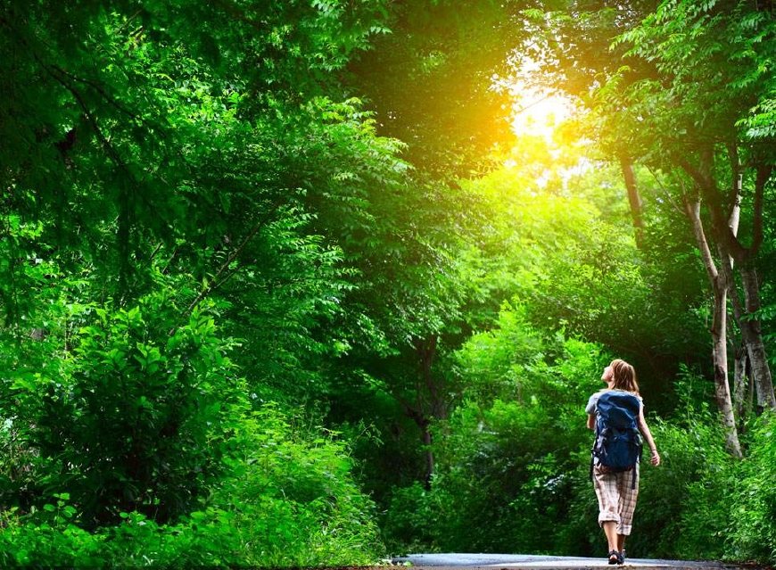 穷游云南1000元以内,穷游云南10天花费多少钱