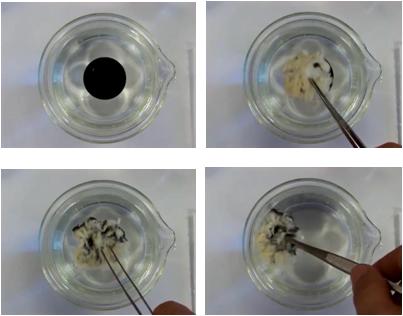 杨柳絮有哪些缺点不足及危害,杨柳絮是怎么造成的