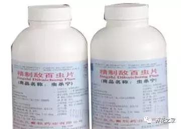 花盆里有蚂蚁怎么办蚂蚁最怕啥,花盆里有蚯蚓好不好