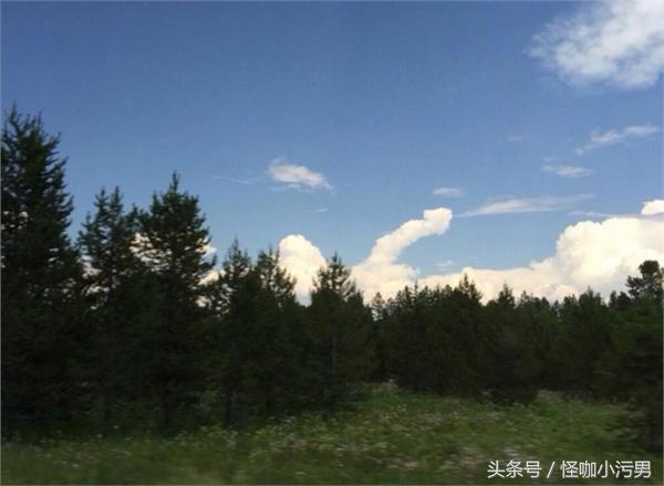 泰国广告女大十八变完整版,女大十八变泰国索尼广告