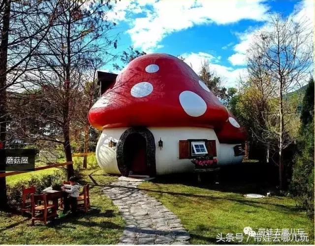 台湾花莲云顶民宿,台湾高雄花莲民宿