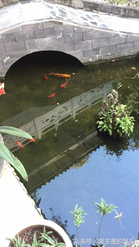 云南小伙租车游云南,云南自驾七日游最全攻略