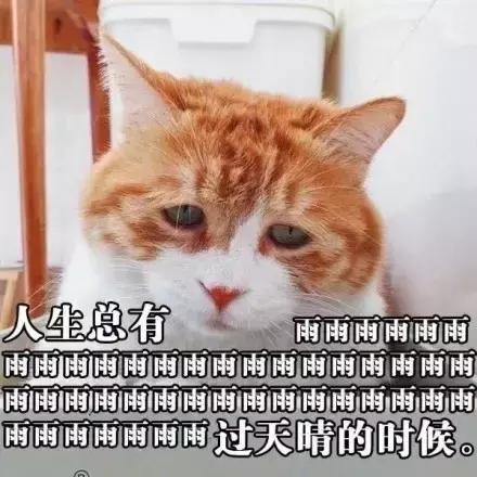 误删万字长文，清晨哭着重写｜42个新媒体人的最惨故事