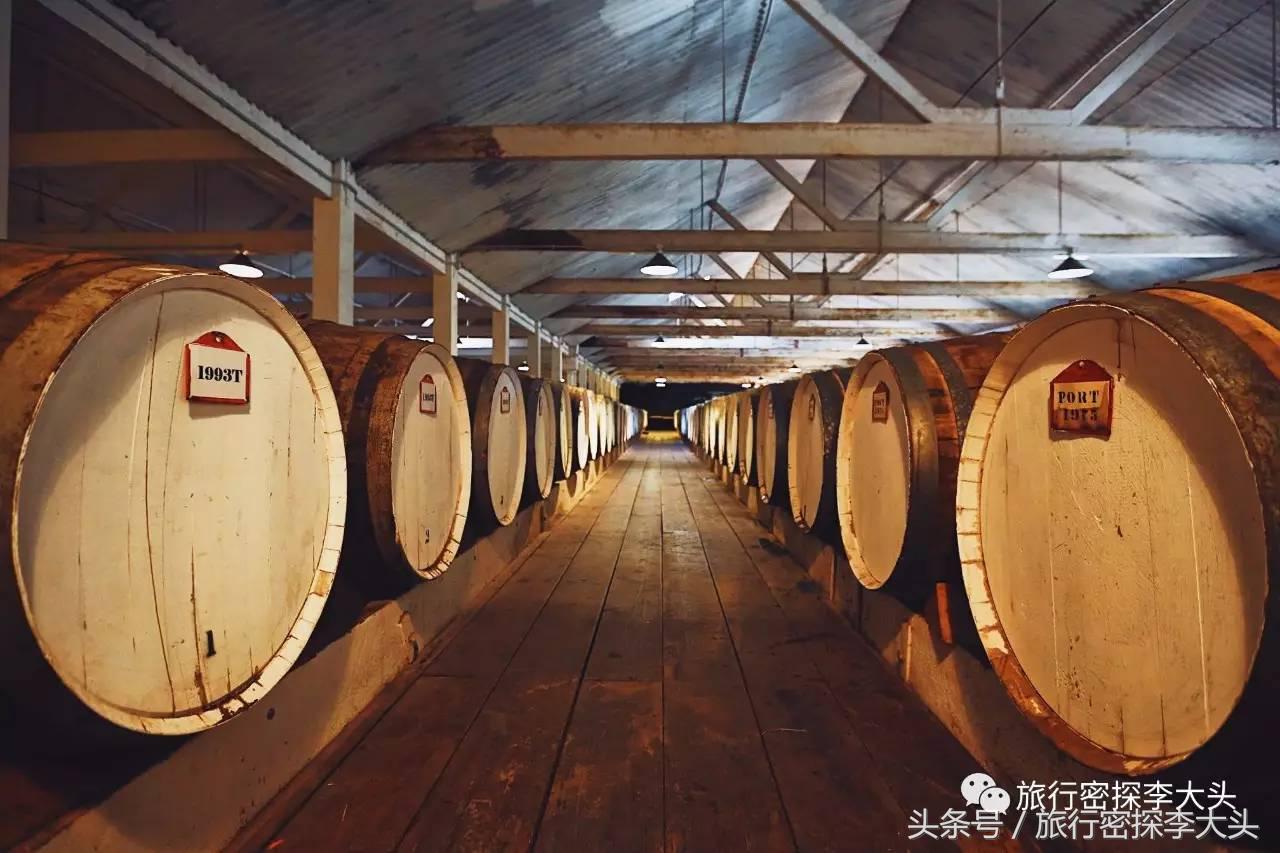 中国哪里可以抱考拉,全球哪里可以抱考拉