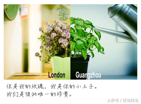 酷似汤唯的女生,神似汤唯的女明星